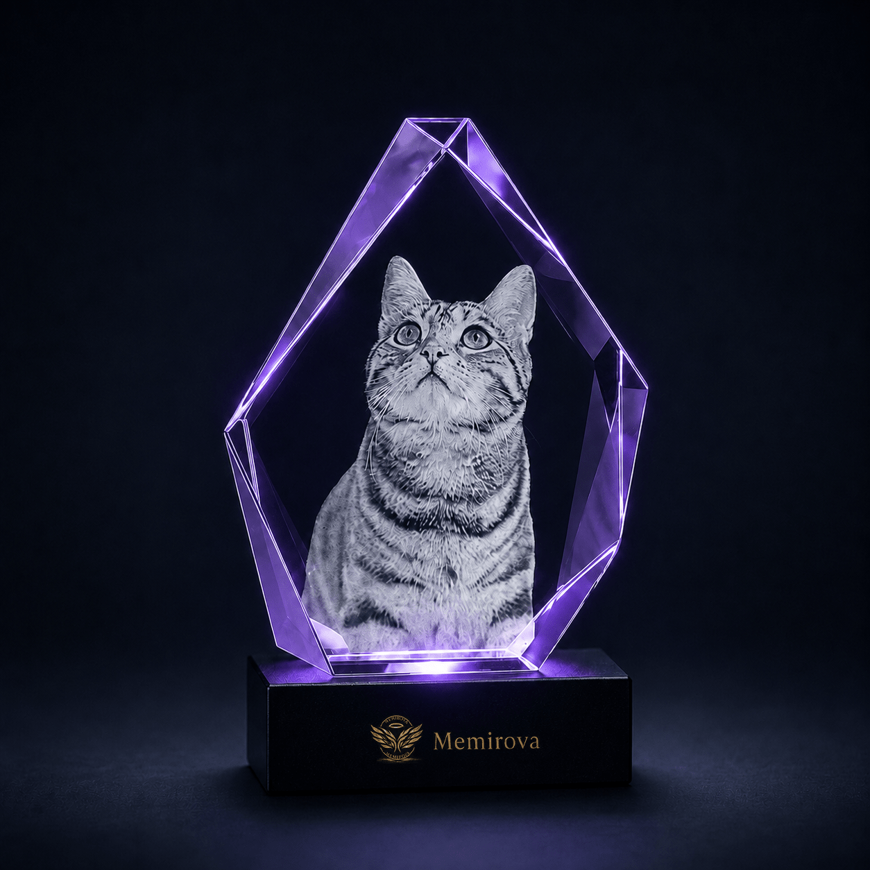 Memirova Forever Bond Custom 3D Pet Faceted Crystal - Memirova