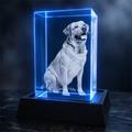 Custom 3D Pet Crystal Photo - Vertical Rectangle - Pet Lover Crystal Gift - Living Room Decor