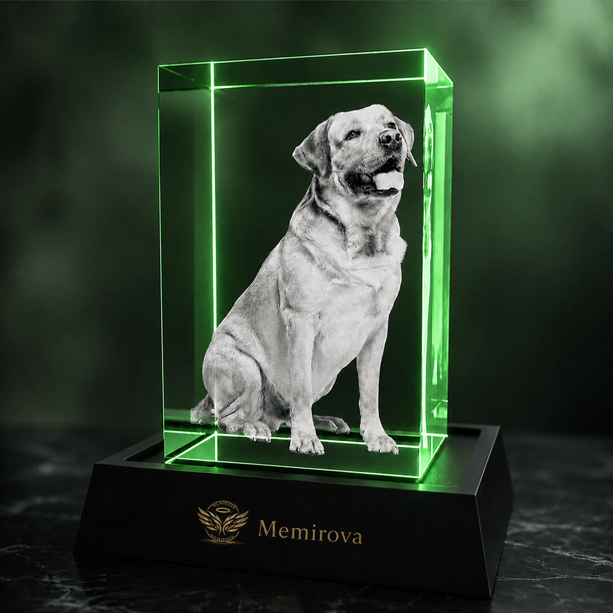 Memirova Memory Crystal Portrait Keepsake - Memirova