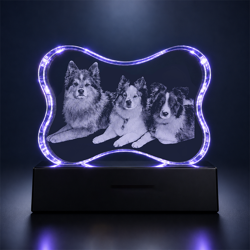 Custom 3D Dog Crystal Photo - Bone Shape - Dog Lover Crystal Gift - Living Room Decor