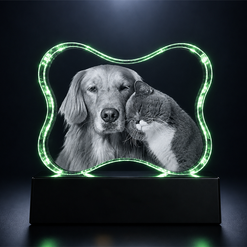 Custom 3D Dog Crystal Photo - Bone Shape -  Crystal Gift - Living Room Decor