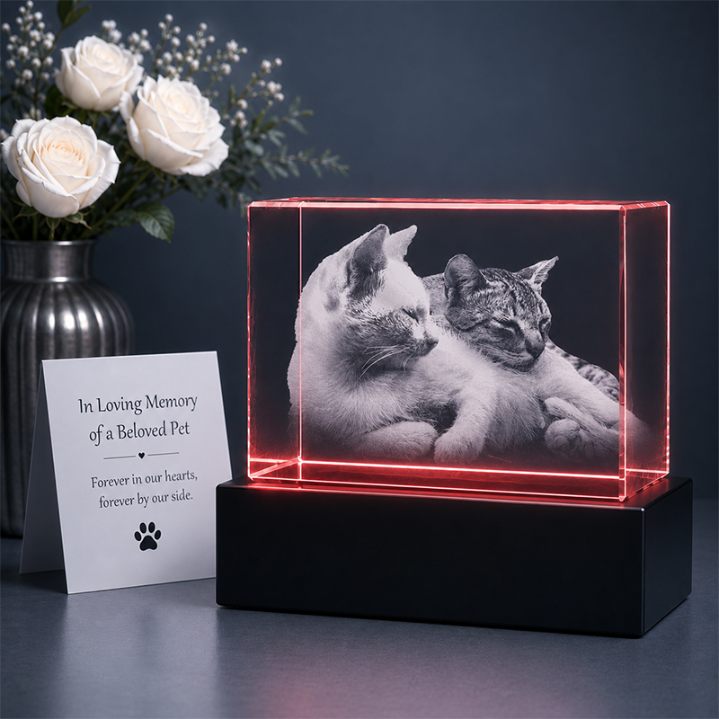 Custom 3D Crystal - Rectangle - Dog Crystal Gift with LED Base-Living Room Decor