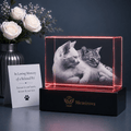 Memirova Beloved Pet 3D Crystal Tribute Plaque-Memirova